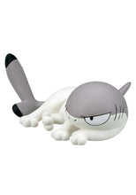 Sharkitty Blind Box