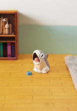 Sharkitty Blind Box